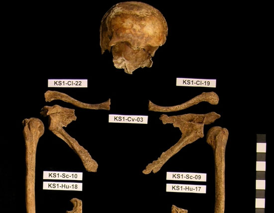 Picture 1 of Decode the mystery of a mass grave in Germany