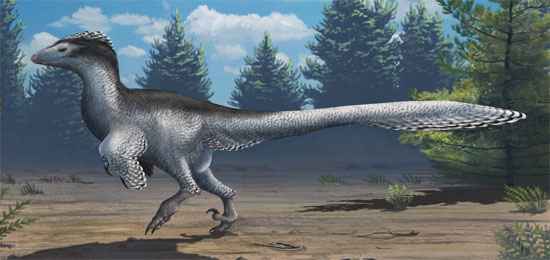 Picture 3 of Decode the mystery of flying dinosaurs