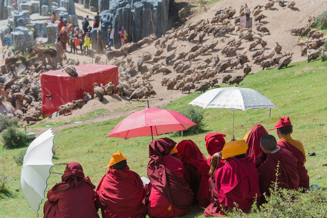 Picture 5 of Decode the mystery of the strange burial customs of Tibetans