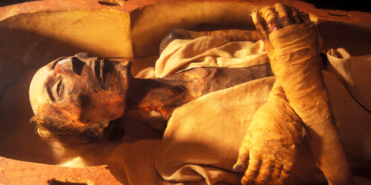 Picture 1 of Decode the secret secret of the Egyptian mummy