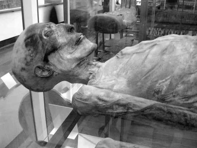 Picture 6 of Decode the secret secret of the Egyptian mummy