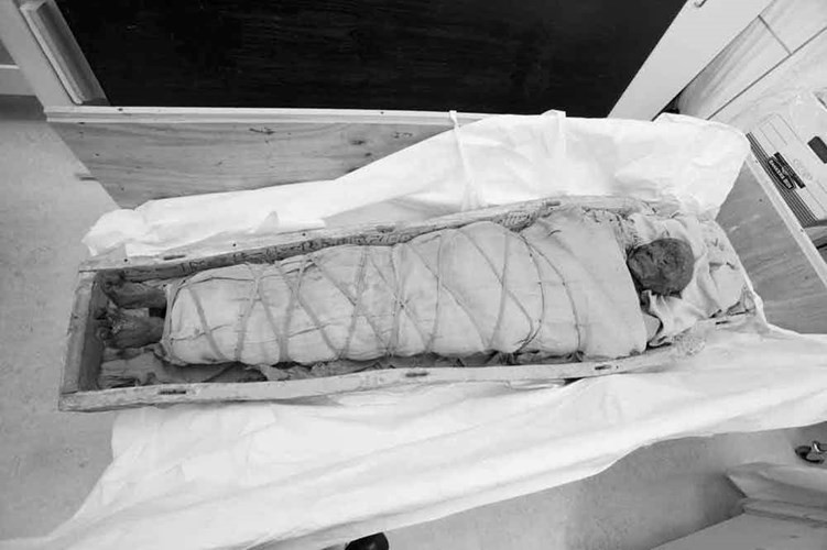 Picture 7 of Decode the secret secret of the Egyptian mummy