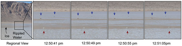 Picture 2 of Decoded the walking stone in the Death Valley