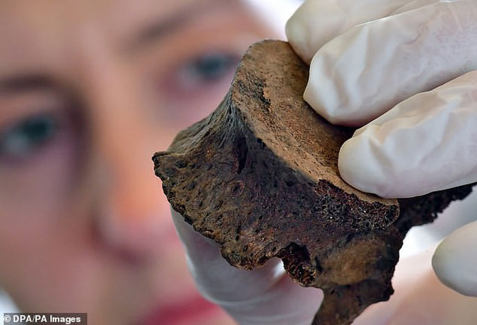 Picture 4 of Decoding the case of shocking network after 4,000 years
