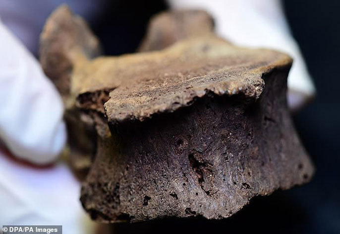 Picture 5 of Decoding the case of shocking network after 4,000 years