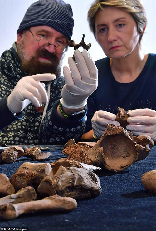 Picture 6 of Decoding the case of shocking network after 4,000 years