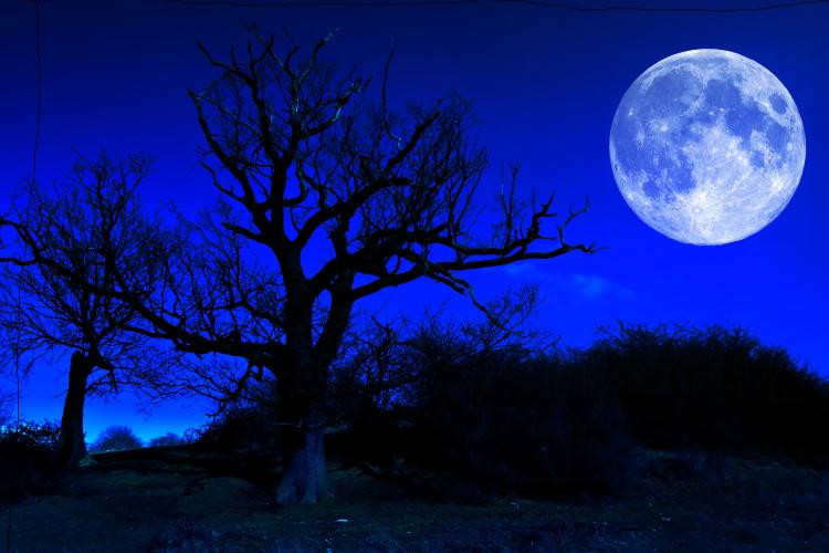 Picture 2 of Decoding the curse of the 'July green moon' caused a tragedy?