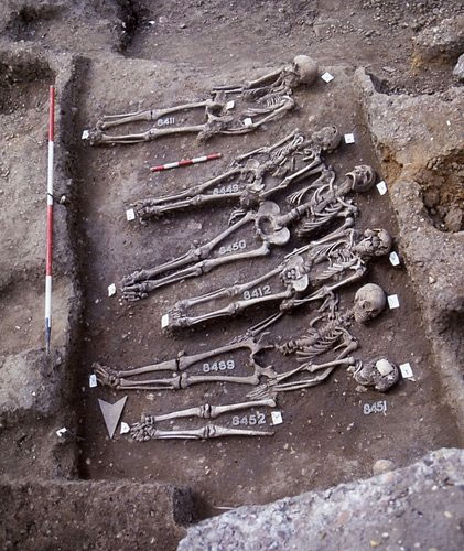 Picture 2 of Decoding the gene that causes the Black Death