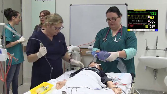 Picture 3 of Decoding the mystery of allergies and anaphylaxis: What has knocked down the body in just a few minutes?