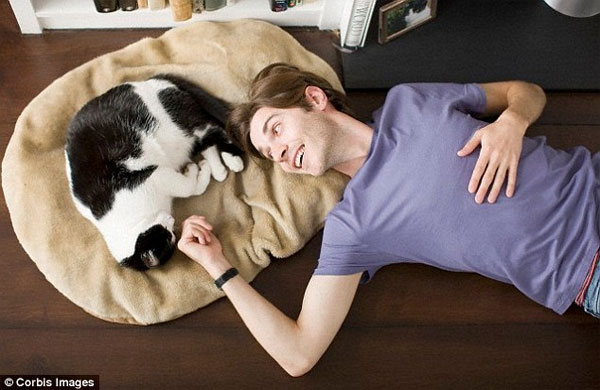Picture 2 of Decoding: Things nobody knows about cats