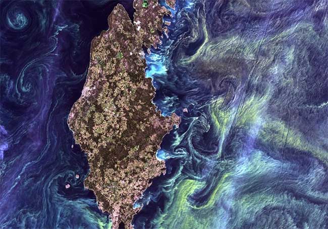 Picture 5 of Deep blue of sea water is a sign of death