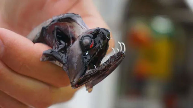 Picture 1 of Deep sea monster with strange sharp teeth throughout