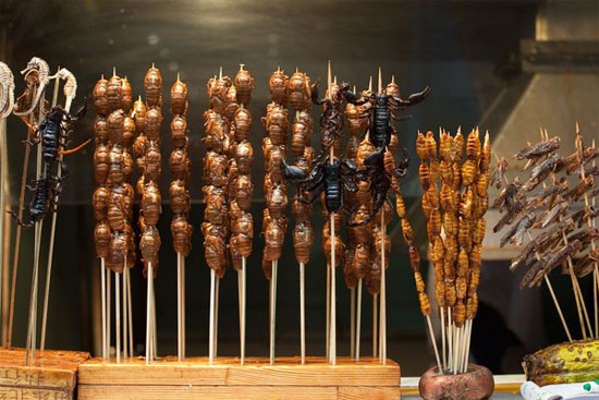 Picture 1 of Delicious delicacies from cicadas