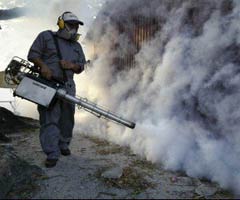 Picture 1 of Dengue outbreaks are at risk of outbreaks across Asia