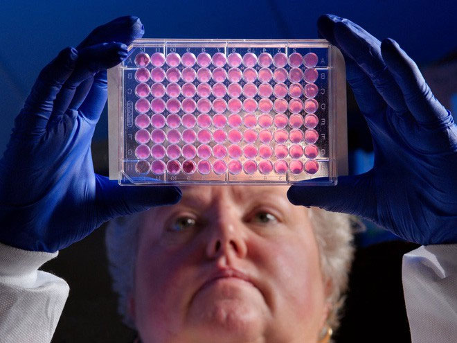 Picture 1 of Depletion of antibiotics: Pharmaceutical companies turn their research programs in turn