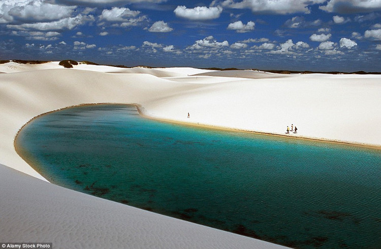 Picture 11 of Desert phenomenon turns into thousands of blue pools