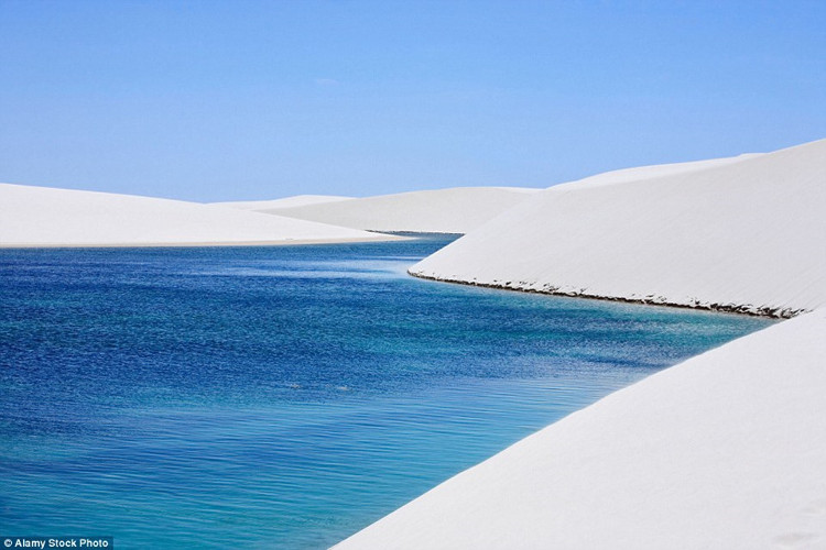 Picture 12 of Desert phenomenon turns into thousands of blue pools