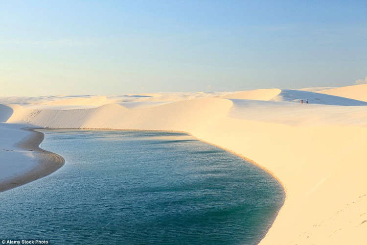 Picture 13 of Desert phenomenon turns into thousands of blue pools