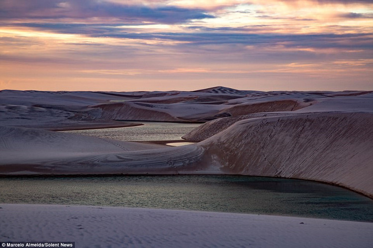 Picture 14 of Desert phenomenon turns into thousands of blue pools