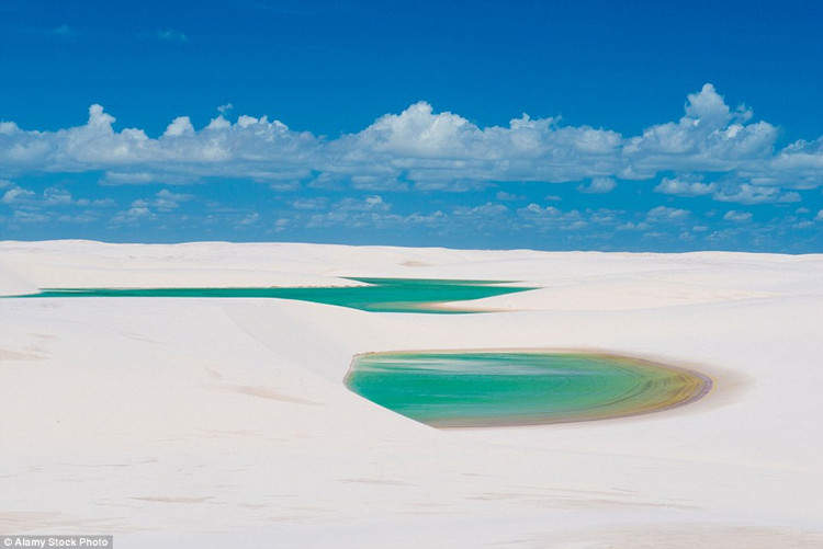 Picture 7 of Desert phenomenon turns into thousands of blue pools