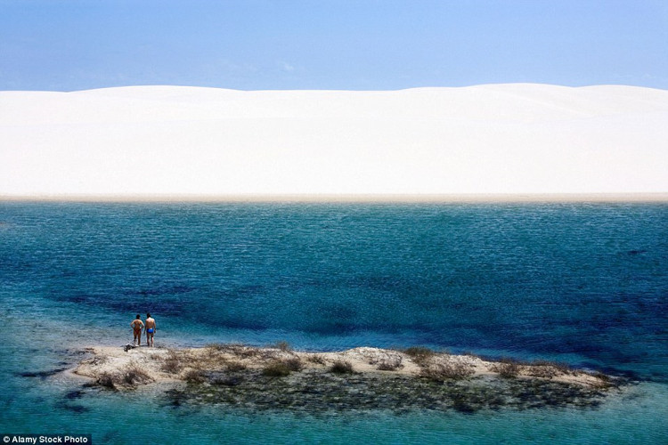 Picture 9 of Desert phenomenon turns into thousands of blue pools