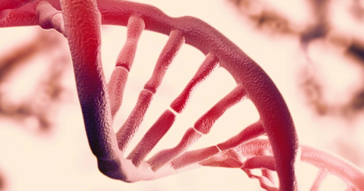 Picture 1 of Detect the second layer of information hidden in DNA