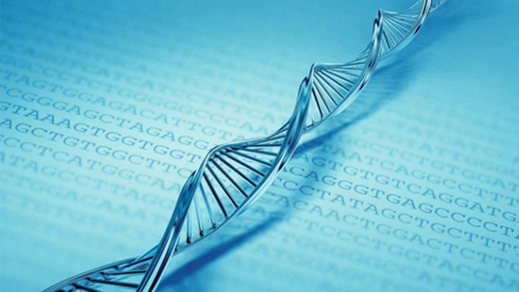 Picture 2 of Detect the second layer of information hidden in DNA