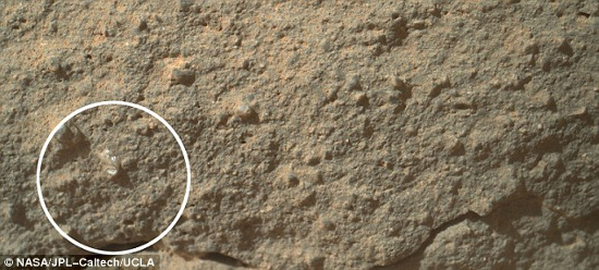 Picture 1 of Detect tremors: Flowers bloom on Mars?