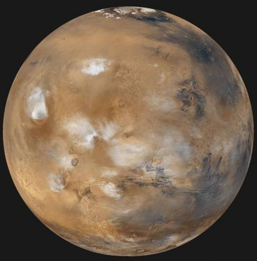 Picture 4 of Detect tremors: Flowers bloom on Mars?