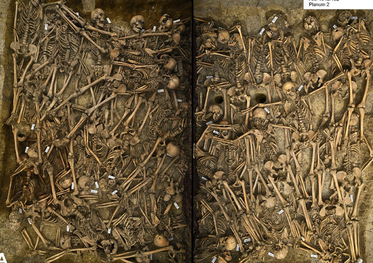 Picture 1 of Detect tremors from the 17th-century warrior grave in Germany