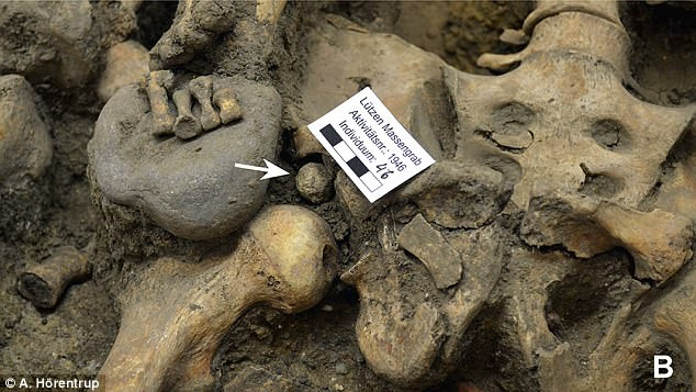 Picture 2 of Detect tremors from the 17th-century warrior grave in Germany