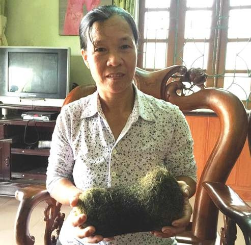 Picture 1 of Detected more pigs 'heavy' weighs up to 2kg in Ha Nam