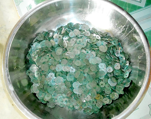 Picture 1 of Detecting 3 pots of coins in the farm