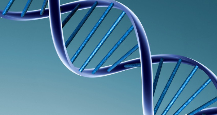 Picture 1 of Detecting a bisexual thanks to DNA test for blood test