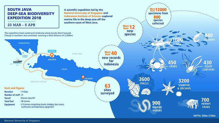 Picture 2 of Detecting alien creatures under the seabed of Indonesia