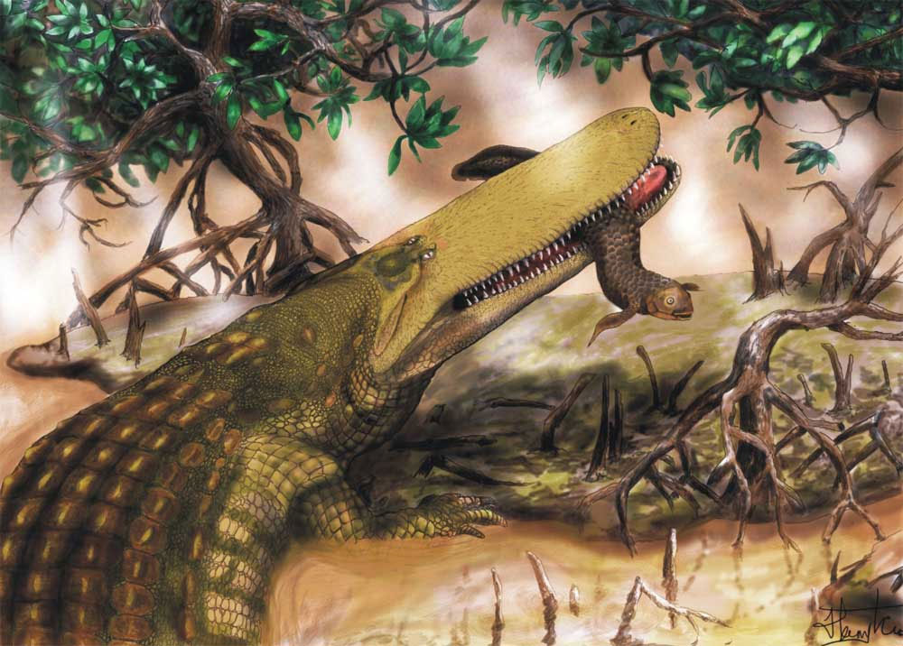 Picture 1 of Detecting ancient crocodiles 11 meters long