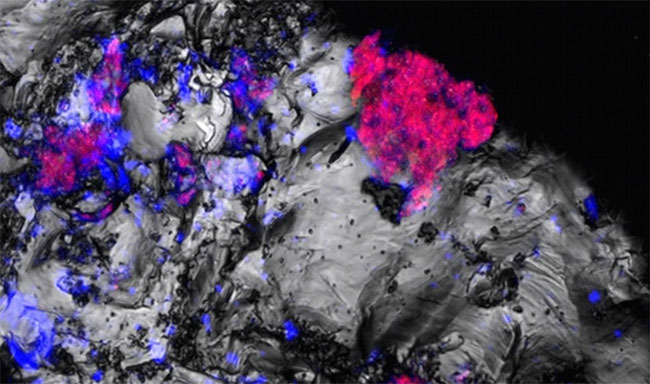 Picture 1 of Detecting bacteria at incredible depths, raising hope for life in Mars