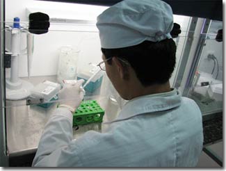 Picture 2 of Detecting birth defects from the seventh week