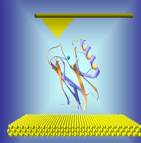Detecting cancer antigens with nano holes images 1
