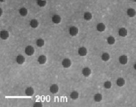 Detecting cancer antigens with nano holes images 2