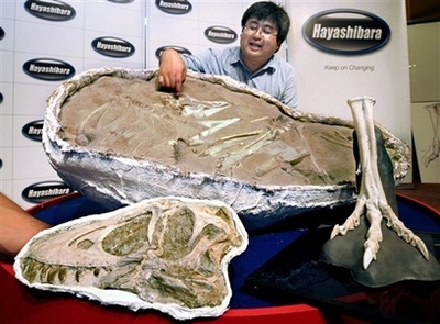 Picture 1 of Detecting complete bone fossils of a dinosaur