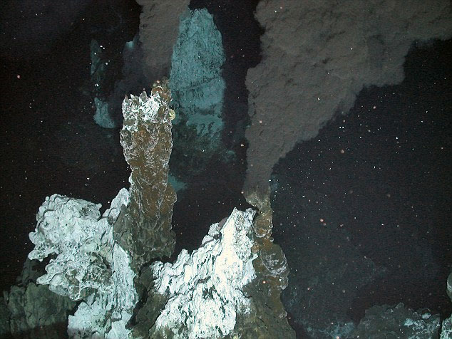 Picture 6 of Detecting concussions about 20 species of strange creatures in Antarctica