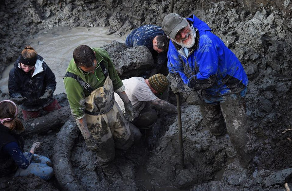 Picture 2 of Detecting curly feather mammoths in soybean fields