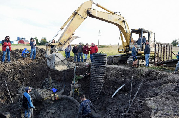 Picture 3 of Detecting curly feather mammoths in soybean fields