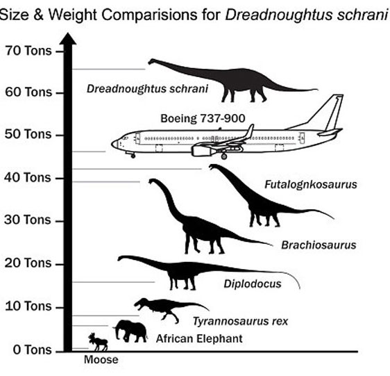 Picture 2 of Detecting dinosaurs 26m long, weighing 65 tons