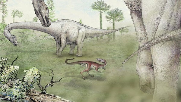Picture 3 of Detecting dinosaurs 26m long, weighing 65 tons