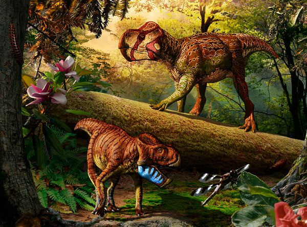 Picture 1 of Detecting fossil dinosaurs with horns