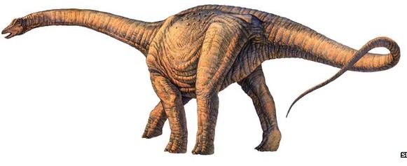 Picture 4 of Detecting fossils dinosaurs across the 7-storey building