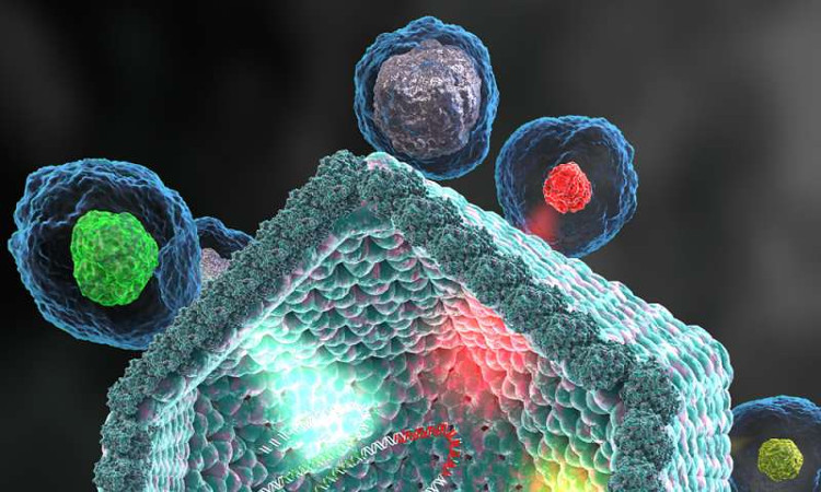 Picture 1 of Detecting giant viruses raises the question of what is life?
