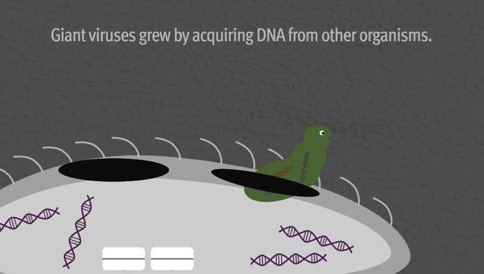 Picture 4 of Detecting giant viruses raises the question of what is life?
